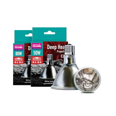 Deep Heat Projector 50W & 80W